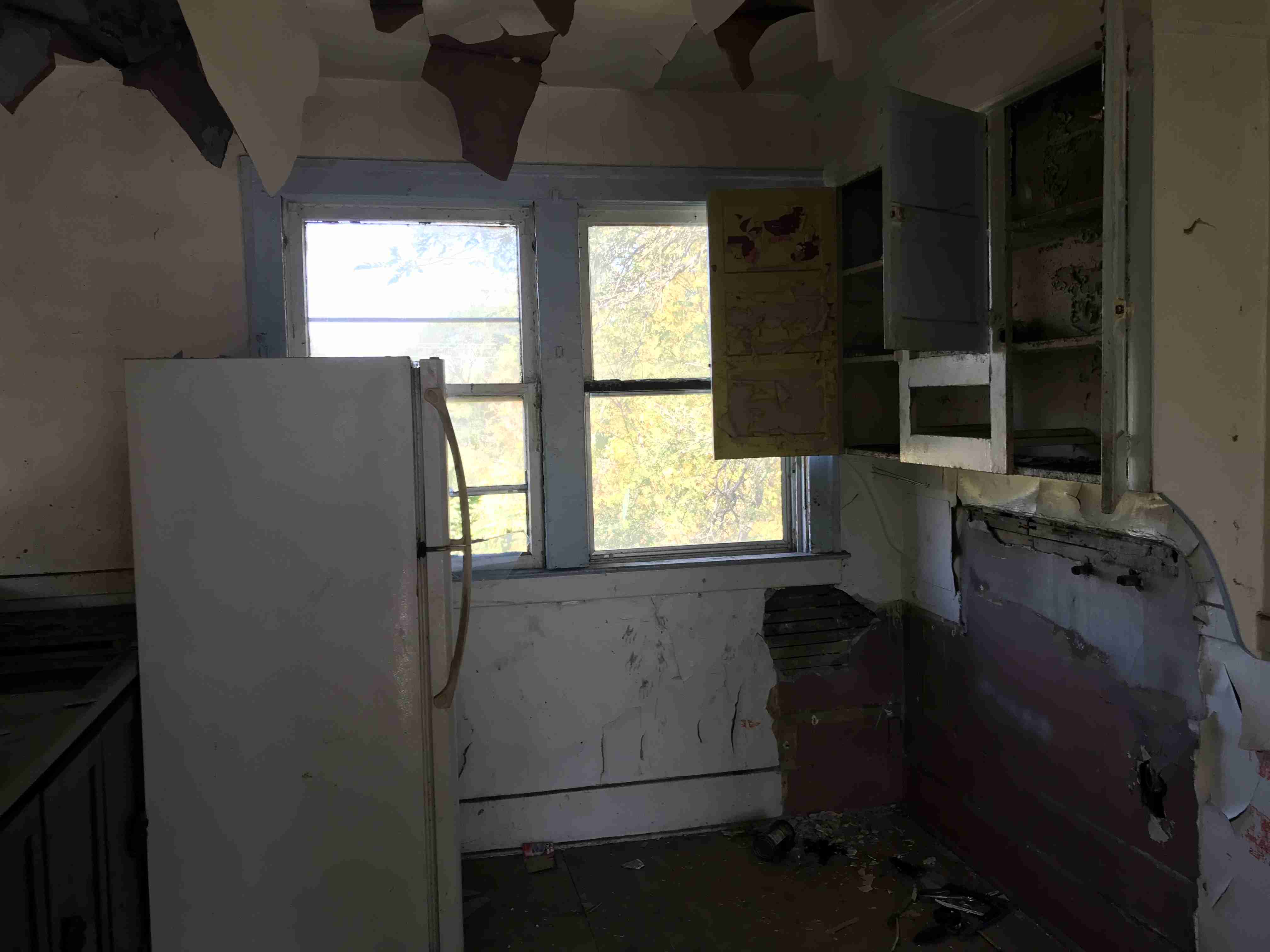 Photo Oct 13, 12 33 29 PM (1).jpg